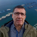 Γ. Νέγκας (ΕΛΚΕΘΕ): Πώς οι λαγοκέφαλοι θα γίνουν… λαχταριστό γεύμα για άλλα ψάρια! Δείτε βίντεο