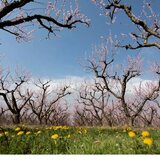 Τι καιρό θα κάνει το Πάσχα: Με άλλον καιρό θα μπει η Μεγάλη Εβδομάδα και με άλλον θα συνεχίσει