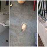 Σχολείο στην Κρήτη το 2025: Ανοίγουν τα κλιματιστικά και κόβεται το ρεύμα! Μαθητές χρησιμοποιούν τουαλέτες με σπασμένα τζάμια!