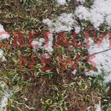 Τρομακτική η αναλογία της ζημιάς από το χαλάζι: αμπέλια 100% - ελιές 50% - Τι λέει στο Cretalive ο διευθυντής του ΕΛΓΑ 