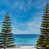 Ανοιξιάτικος ο καιρός την Κυριακή στην Κρήτη