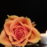 Θλίψη στο Ρέθυμνο για το χαμό του Μανούσου Γαλάνη