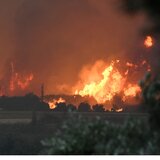  Φωτιές: Πύρινος εφιάλτης στην Κάτω Αχαΐα και εντολή εκκένωσης προς Πύργο – Στις φλόγες Χίος, Πρέβεζα και Ζάκυνθος