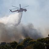 Πολλαπλές πυρκαγιές μέσα σε ένα 24ωρο – Πολύ υψηλός ο κινδυνος και αύριο Πέμπτη 