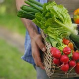 Τα μισά ΑΦΜ που έχουν ελεγχθεί για βιολογικά δεν πληρούν τις προϋποθέσεις επιδότησης!