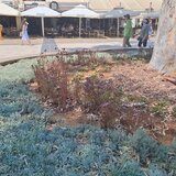 Τι απαντά ο ανάδοχος για την εικόνα στην πλατεία Ελευθερίας