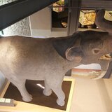 ΜΦΙΚ: Ένα δεινοθήριο καλωσορίζει τους επισκέπτες του Μουσείου που πάνε… στο βουνό!