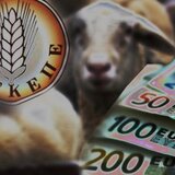 Αποκαλύπτεται η μαφία του ΟΠΕΚΕΠΕ: Οι 37 συλλήψεις, ο αγρότης από τα Γιαννιτσά, ο 36χρονος Κρητικός και το κόλπο με τις αδήλωτες εκτάσεις