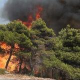 Πολύ υψηλός κίνδυνος πυρκαγιάς αύριο σε Ηράκλειο, Ρέθυμνο και Λασίθι