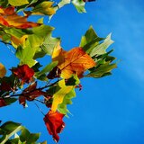 Βελτιωμένος στην Κρήτη ο καιρός την Πέμπτη (9/10)