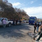 Σε αναμονή οι κτηνοτρόφοι σε Ηράκλειο και Λασίθι για το ραντεβού με Χατζηδάκη