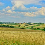 ΑΑΔΕ: Τέλος στα "παιχνίδια" με το Ε9 - Νέα εποχή ελέγχων για τις αγροτικές επιδοτήσεις