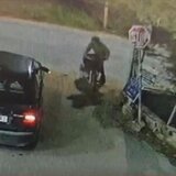 Κρήτη: Η Λάιλα έγινε «ασπίδα» για να σώσει το αφεντικό της - Η συγκινητική αυτοθυσία σκυλίτσας - Βίντεο