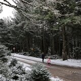 Καιρός: Ψυχρή εισβολή, με πτώση θερμοκρασίας που θα φτάσει ακόμα και τους -10 βαθμούς