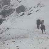 Στα "λευκά" ο Ομαλός της Βιάννου - Ποια σχολεία δεν θα λειτουργήσουν την Τρίτη