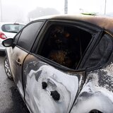 Θεσσαλονίκη: Σοβαρά επεισόδια με 313 προαγωγές στο ΑΠΘ- Η ανακοίνωση της ΕΛ.ΑΣ