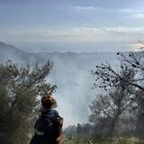 Φωτιά στη Βιάννο: Συνεχίζεται η μάχη με τις φλόγες - Η ανάρτηση του Δημάρχου Βιάννου