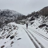 Λευκό πέπλο στο δάσος του Ρούβα - Μαγικές εικόνες από τη Γέργερη