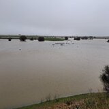 Καταρρακτώδεις βροχές στο Οροπέδιο - «Ανάσα» σε καλλιέργειες και Αποσελέμη (βίντεο)