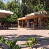 Ποδοσφαιρικός «πυρετός» στο Ηράκλειο: Γιγαντοοθόνη στο πάρκο Γεωργιάδη για τον μεγάλο τελικό ΟΦΗ – ΠΑΟΚ