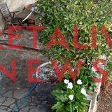 Πρωινή χαλαζόπτωση στο Βενεράτο - Βίντεο