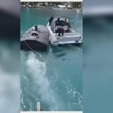 Λευκάδα: Εξουδετερώθηκαν τα εκρηκτικά στο θαλάσσιο drone - Βίντεο