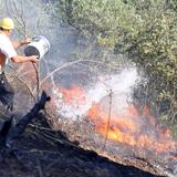 Πυροσβεστική για φωτιά στο Δερβένι: «Η σορός ανήκει σε άνδρα - Στο νοσοκομείο η εγκαυματίας»