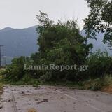 Λαμία: Μεγάλες ζημιές από την κακοκαιρία