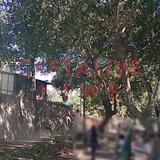 Αναστάτωση στο πάρκο Γεωργιάδη λόγω κατεδάφισης - Δείτε βίντεο