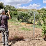 Σταυρούλα Λεβεντάκη: Μάλωσαν στο σπίτι, τη μαχαίρωσε και έθαψε το πτώμα στο λιόφυτό του - Δείτε εικόνες