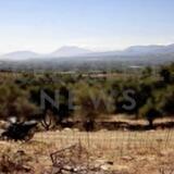 Απεσωκάρι: Κάμερα ασφαλείας καταγράφει δολιοφθορά στο φρακτό των προφυλακισμένων πατέρα και γιου - "Εκκωφαντικό" το γέλιο του δράστη
