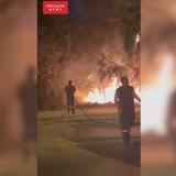 Ηράκλειο: Κινητοποιήθηκε η Πυροσβεστική για φωτιά στην παραλιακή λεωφόρο - Δείτε βίντεο