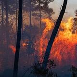 Γαλλία και Ισπανία δίνουν μάχη με τις φωτιές εν μέσω νέου κύματος καύσωνα