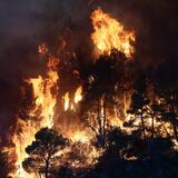 Πύρινος εφιάλτης δίχως τέλος σε Αττική και Βοιωτία: Νέα μεγάλη φωτιά τη νύχτα και στην Κεφαλονιά 