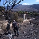 Φωτιά στο Ρέθυμνο: Ξεκινούν οι αιτήσεις για αποζημιώσεις στους πυρόπληκτους - Τα ποσά και τα δικαιολογητικά