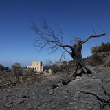 Πυρκαγιές στο νότιο Ρέθυμνο: Οι πυρόπληκτοι του Δήμου Αγίου Βασιλείου προσπαθούν να σταθούν ξανά στα πόδια τους