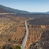 Κρατική αρωγή και στήριξη των πληγέντων: Το σχέδιο αποκατάστασης των περιοχών που επλήγησαν από τις πυρκαγιές