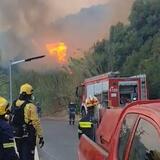 Ρέθυμνο - Φωτιά στα Σελλιά: Στην πρώτη γραμμή οι εθελοντές! (ΦΩΤΟ)