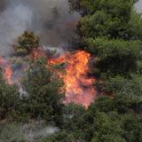 Δραματικές ώρες στη Δυτική Αττική - Μαίνεται ανεξέλεγκτη η πυρκαγιά, οι φλόγες καίνε κοντά σε σπίτια στην Αγία Σκέπη