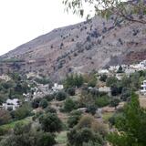 Βορίζια: Έπιασαν τον "σκορπιό" για αυτόφωρο αδίκημα - Στη Δικαιοσύνη θα διαβιβαστεί και η δικογραφία για τον ξυλοδαρμό