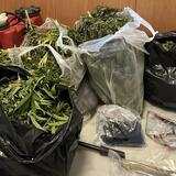 Ο "μακελάρης" των αστυνομικών στην χασισοφυτεία των Μαλάδων, ο κρατούμενος με τα δενδρύλλια στις φυλακές - Βίντεο