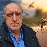 Ιός Δυτικού Νείλου στην Κρήτη: "Κλειδί" το 2018, ας περάσει κι ο Σεπτέμβριος