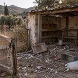Ζαρός: Του άδειασαν τον στάβλο - Έκλεψαν κότες, κοτόπουλα και δύο κούβους