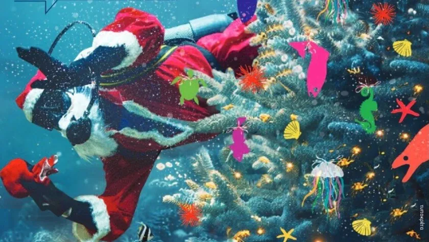 enydreio agios basilis