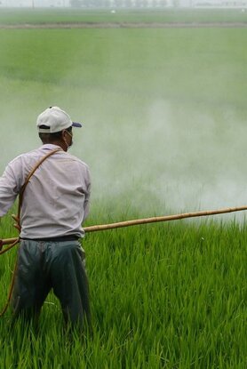 Ισχυρός συσχετισμός μεταξύ της έκθεσης σε φυτοφάρμακα και του κινδύνου εμφάνισης καρκίνου