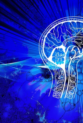 Ποια τρόφιμα επιβραδύνουν τη γήρανση του εγκεφάλου και ποια δεν του κάνουν καλό