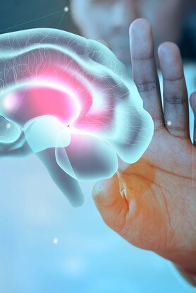 Γιατί ξεχνάει ο εγκέφαλος;