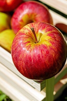 5+4 φρούτα με περισσότερες φυτικές ίνες από το μήλο