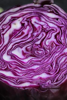 Κόκκινο λάχανο: Το superfood με τα σημαντικά οφέλη για την υγεία