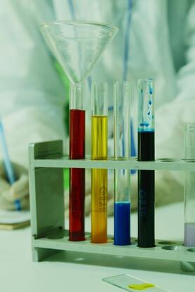 Μελάνωμα: Ελπίδες για νέα θεραπεία από βακτήρια της Ανταρκτικής